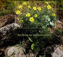 *Moonbeams* You Bring Me Sunshine and Love ~ All About Flowers! by Jack McCabe