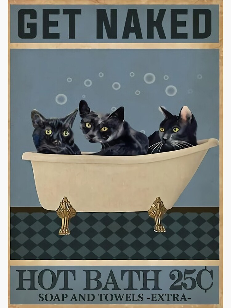 Black Cat Get Naked Hot Bath Poster For Sale By Crtney Redbubble