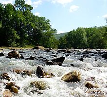 Water Wins! by DeepwoodsImages