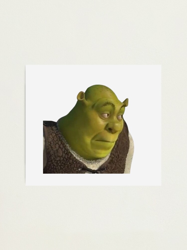 Shrek Meme Surprised Shrek Photographic Print For Sale By Uzino