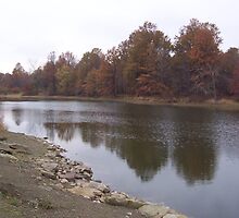 Misquito Lake State Park by Tamara Bobst