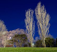 Night as Day by Josh Wayn