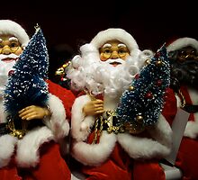 Will The Real Santa Claus Please Stand Up! by Pamela Hubbard