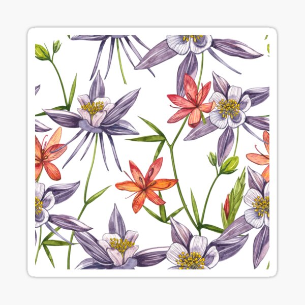 Seamless Floral Pattern With Watercolor Columbine Aquilegia Flowers