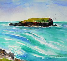 Cook Island #2 by Virginia McGowan