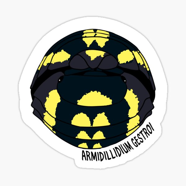 Armadillidium Gestroi Isopod Sticker For Sale By Kirin Riki Redbubble