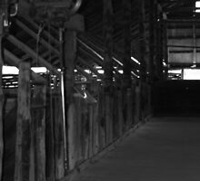 Mungo Station by rosemellen