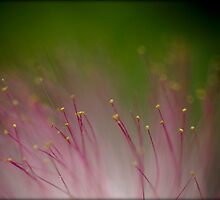 Untitled.00080 by Byron Gates Jr