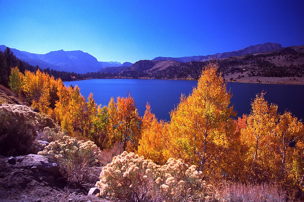  June Lake By Steveberlin Redbubble