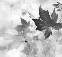 Simple Beauty Speaks Volumes by bamagirl38