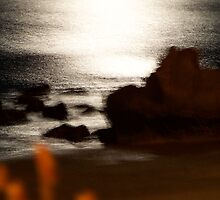 Night by Bethany Peiper