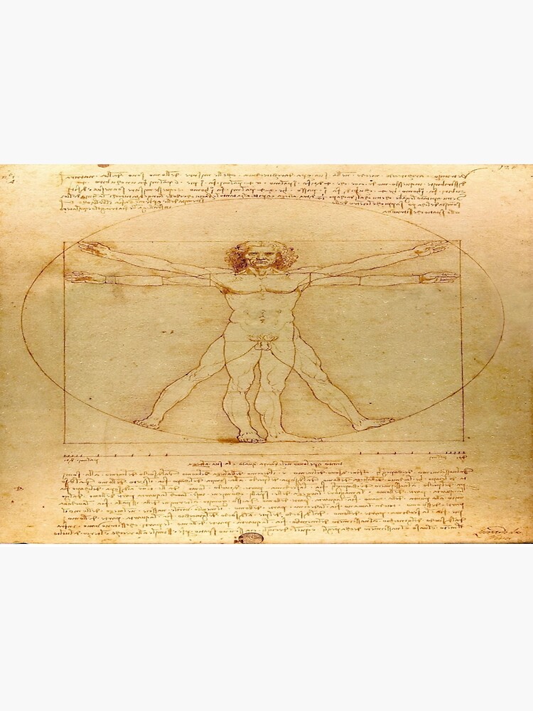 The Vitruvian Man Leonardo Da Vinci Classic Sticker For Sale By