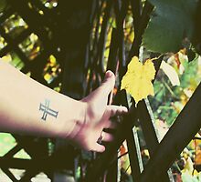 Reminiscing by Emily Allison
