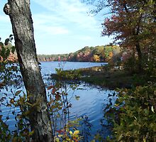 Autumn in Rhode Island | Barbers Pond by Jack McCabe