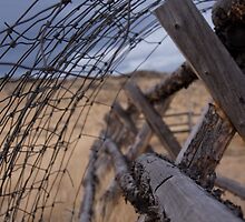 Wired by Ann Rodriquez