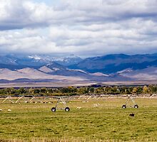God's Country by Ann Rodriquez