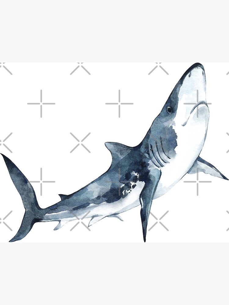 Watercolor Smiling Great White Shark Portrait Illustration Poster For