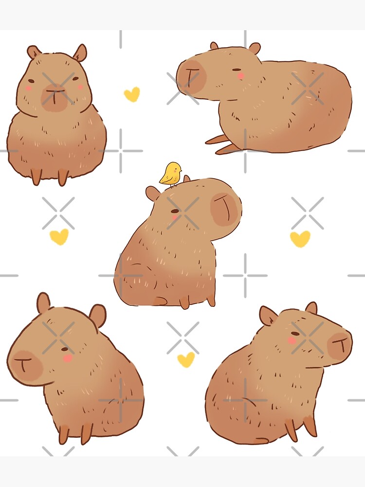 Capybaras Drawing Poster For Sale By Mayarart Redbubble