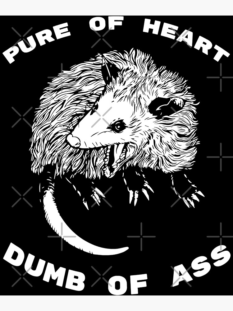 Pure Of Heart Dumb Of Ass Funny Opossum Saying Meme Poster For Sale