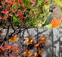 Fall Medley by digitalmidge