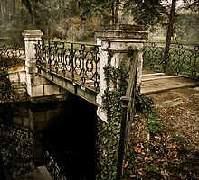 My secret garden II. by Csaba Jekkel