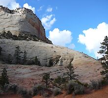 Zion National Park in winter by PigOMyHeart
