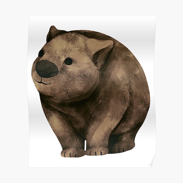 Wombat Poster For Sale By ChachiArts Redbubble