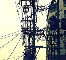 Wired by Marcia Luly