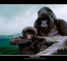 "Precious" (Mountain Gorillas) by Skye Ryan-Evans