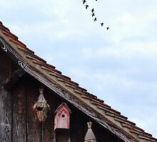 Nest by Cyril Marchand
