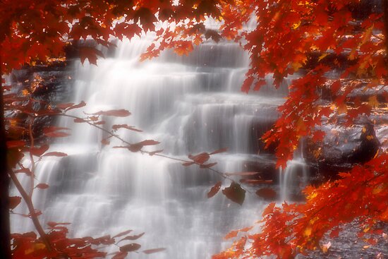 Autumn Waterfall