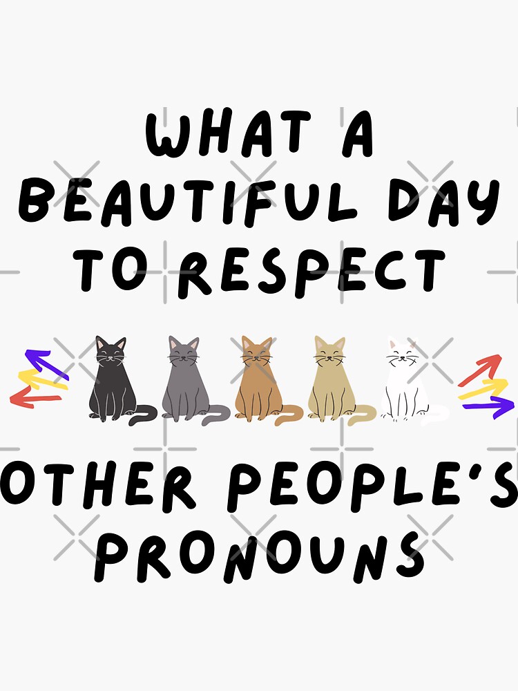 The Cats Say What A Beautiful Day To Respect Other People S Pronouns