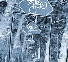 Bicycle Caution Traffic Sign by Phil Perkins