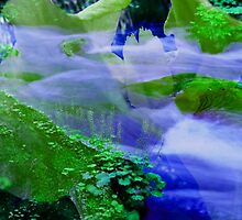 What Am I? by Julia Mainwaring-Berry