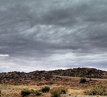 The Promise of Rain by Rod Wilkinson