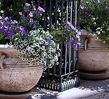 Dueling Pots by Polly Peacock