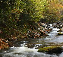 Transition by Gary L Suddath