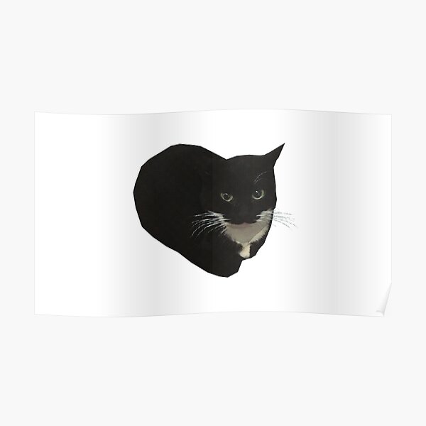 Maxwell The Cat Poster For Sale By Doopsmaster Redbubble