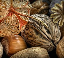 Autumn Medley by Ann Garrett