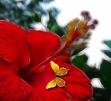 Butterfly Kisses by Angi Baker