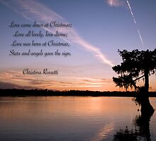 Love came down at Christmas . . . by Bonnie T. Barry