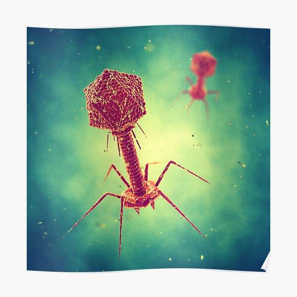 Bacterial Viruses Poster For Sale By Nobeastsofierce Redbubble