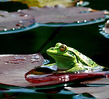Knee Deep by Darren Wishart-Brown