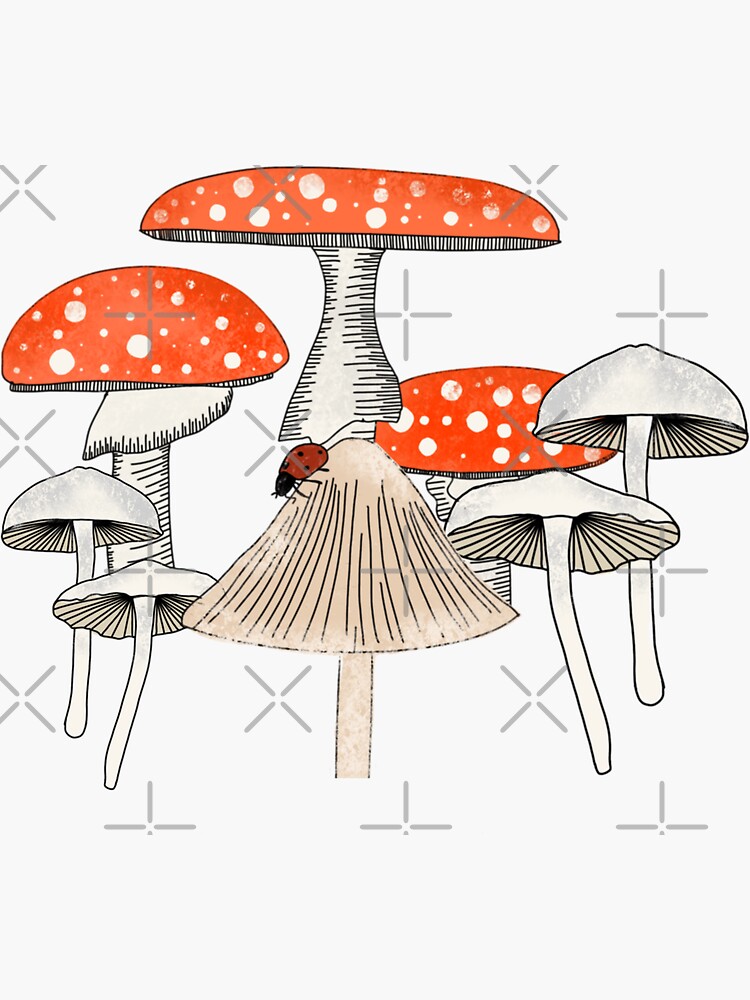 Checks Wild Mushroom Amanita Muscaria Blue Sticker For Sale By