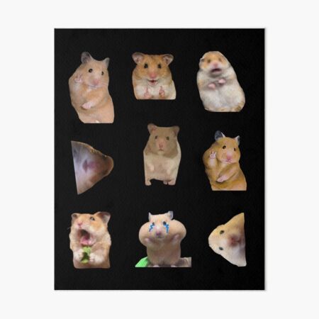 Mega Pack Hamster Memes Peace Sign And Screaming Hamster Art Board