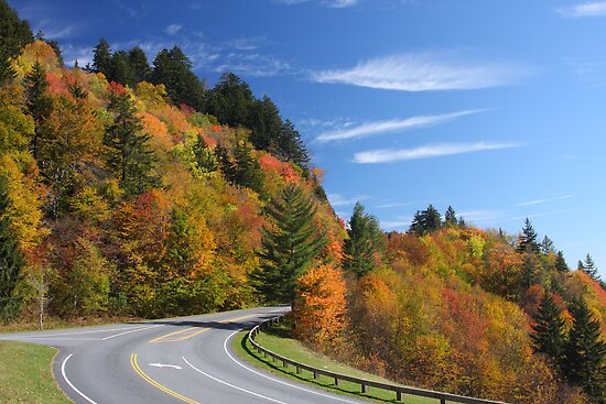 Newfound Gap Road