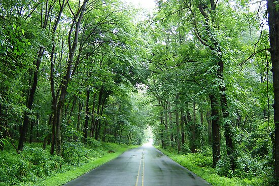 Summer In Pennsylvania