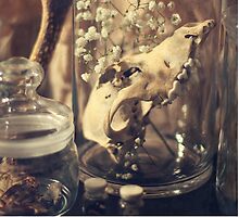 still life by MsDunwich