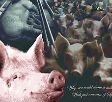 Why we could clone a million pigs from just one can of Spam! by Lyn Fabian