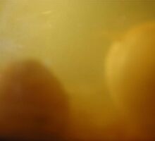 PICKLED ONIONS by scarletjames